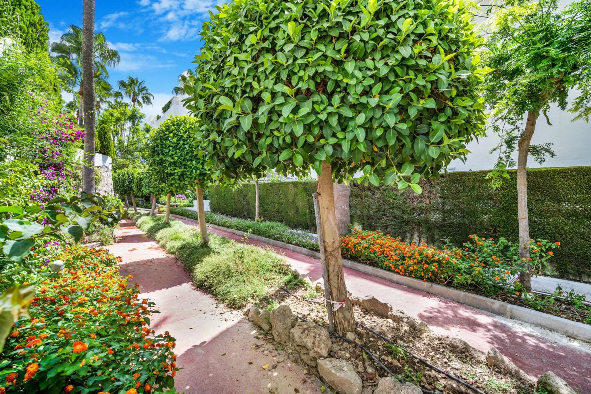 Apartment Real Golden Mile - 3 Bedroom *